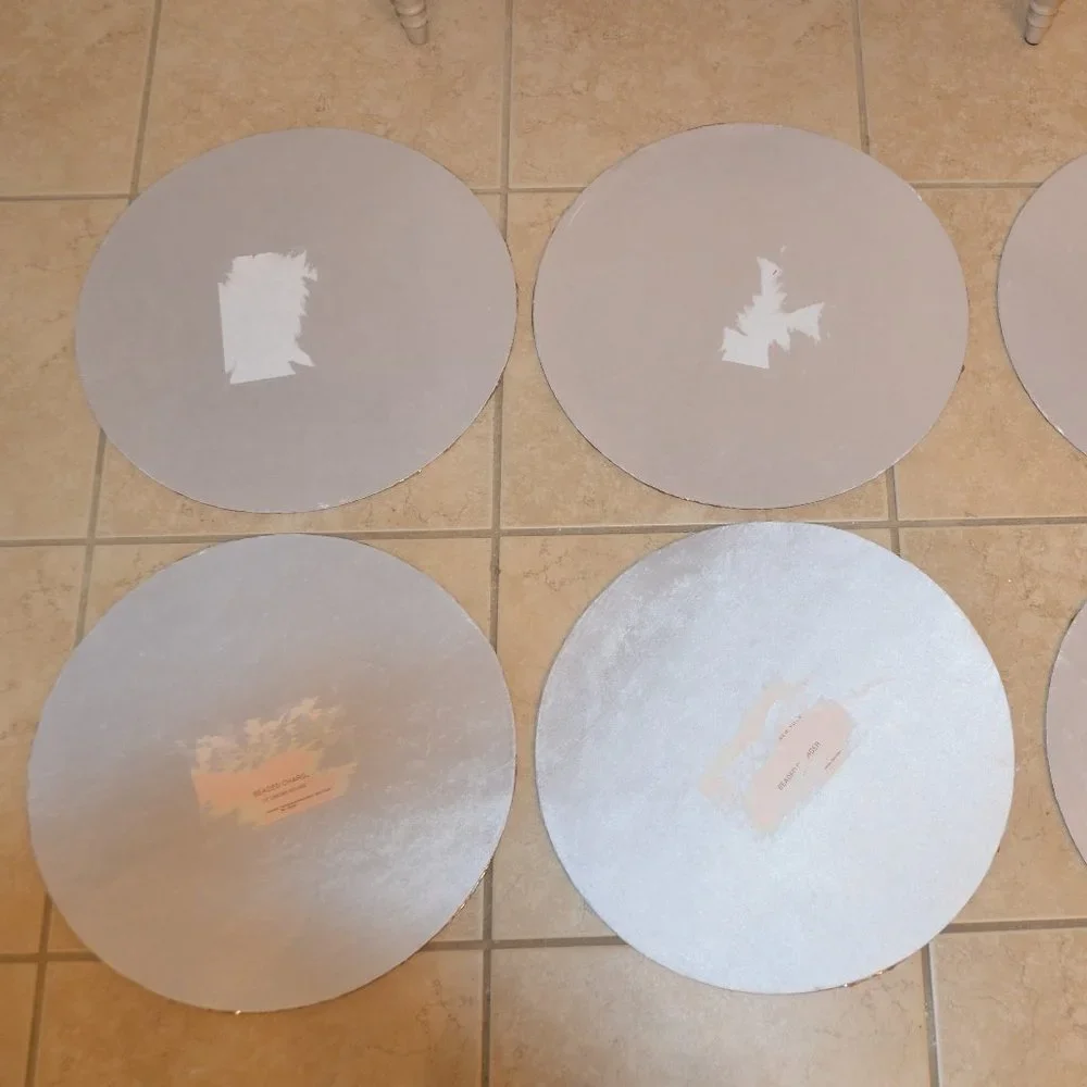 6 ISAAC MIZRAHI CARROT SPRING SUMMER EASTER CRYSTAL PLACEMAT CHARGER CENTERPIECE